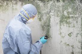 New Rockford, ND Mold Removal Company